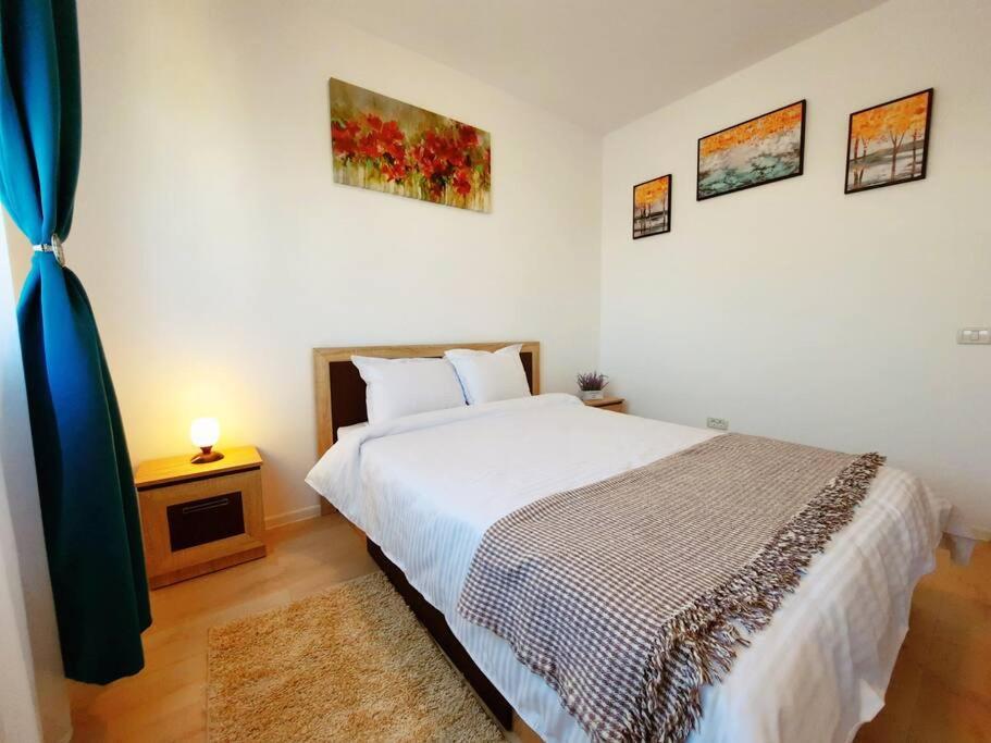 Beautiful Panoramic Central Apartment - City Of Mara Timişoara Exterior foto